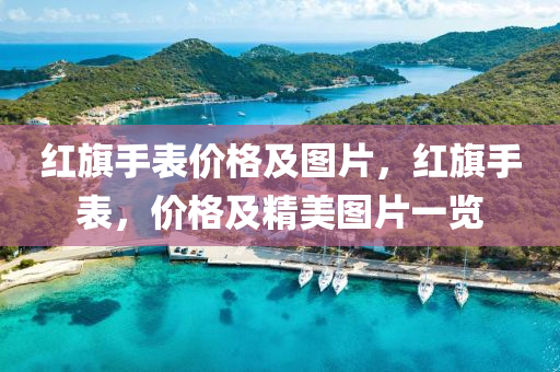红旗手表价格及图片