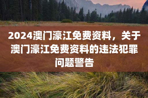 2024澳门濠江免费资料