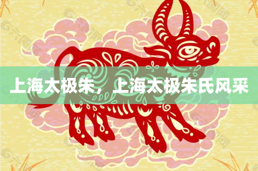 上海太极朱