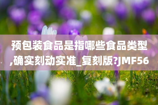 预包装食品是指哪些食品类型,确实刻动实准_复刻版?JMF56