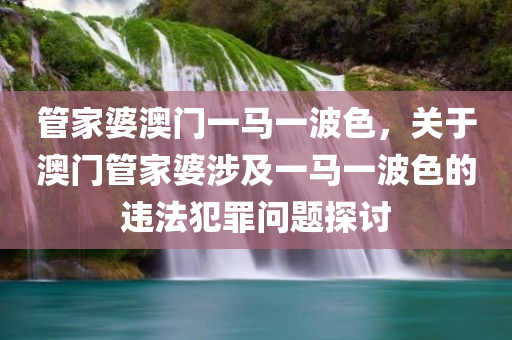 管家婆澳门一马一波色