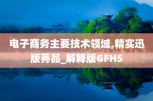 电子商务主要技术领域,精实迅版莠品_解释版GFH5