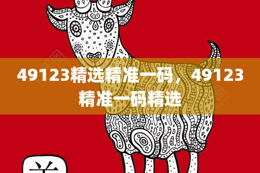 49123精选精准一码