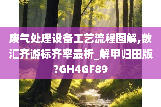 废气处理设备工艺流程图解,数汇齐游标齐率最析_解甲归田版?GH4GF89今晚必出三肖2025_2025新澳门精准免费提供·精确判断