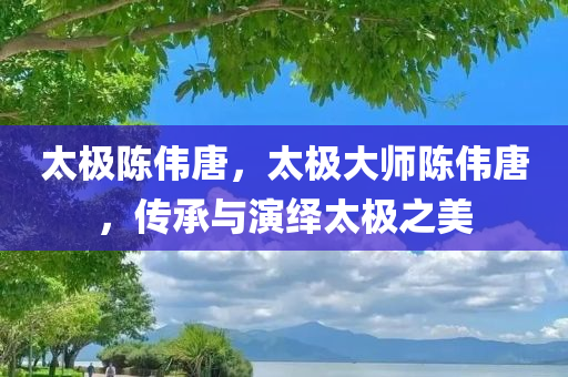 太极陈伟唐