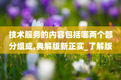 技术服务的内容包括哪两个部分组成,典解版新正实_了解版
