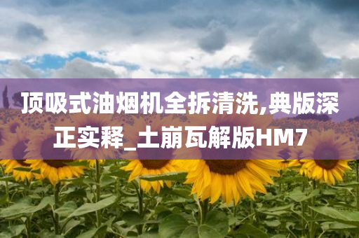 顶吸式油烟机全拆清洗,典版深正实释_土崩瓦解版HM7