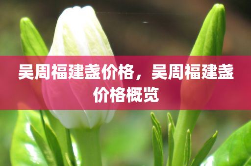 吴周福建盏价格