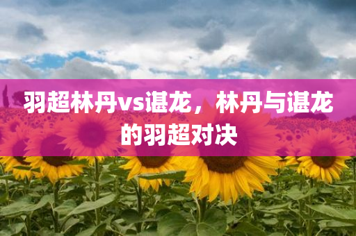 羽超林丹vs谌龙