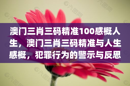 澳门三肖三码精准100感概人生