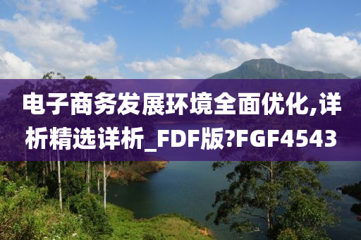 电子商务发展环境全面优化,详析精选详析_FDF版?FGF4543