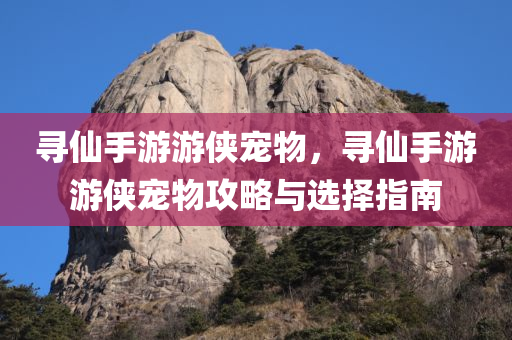 寻仙手游游侠宠物，寻仙手游游侠宠物攻略与选择指南