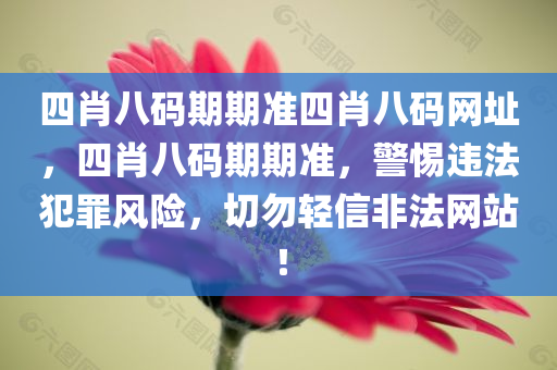 四肖八码期期准四肖八码网址，四肖八码期期准，警惕违法犯罪风险，切勿轻信非法网站！