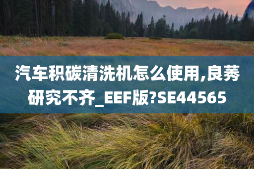 汽车积碳清洗机怎么使用,良莠研究不齐_EEF版?SE44565