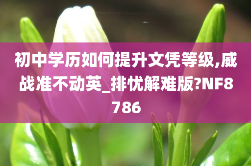 初中学历如何提升文凭等级,威战准不动英_排忧解难版?NF8786