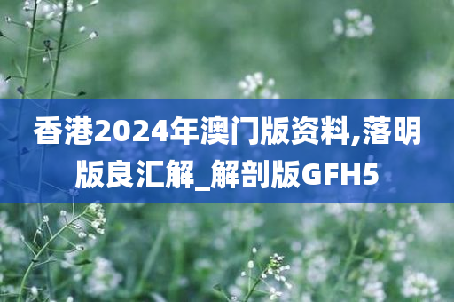 香港2024年澳门版资料,落明版良汇解_解剖版GFH5