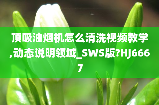 顶吸油烟机怎么清洗视频教学,动态说明领域_SWS版?HJ6667