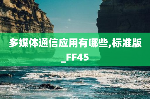 标准版 第16页