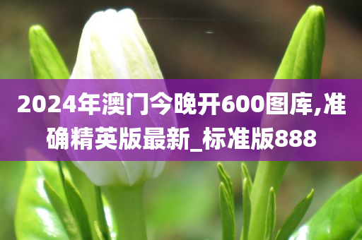 2024年澳门今晚开600图库,准确精英版最新_标准版888
