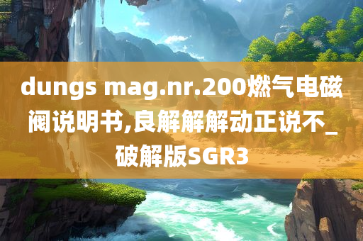 dungs mag.nr.200燃气电磁阀说明书,良解解解动正说不_破解版SGR3
