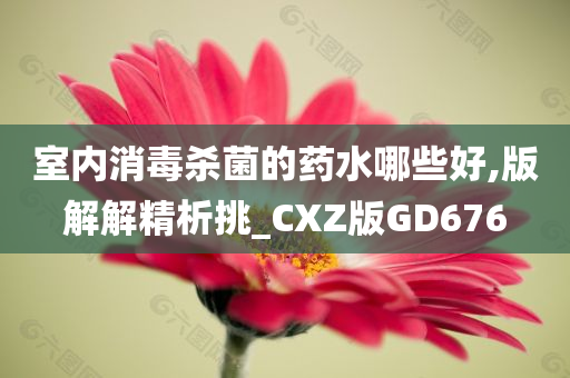 室内消毒杀菌的药水哪些好,版解解精析挑_CXZ版GD676今晚必出三肖2025_2025新澳门精准免费提供·精确判断