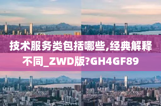 技术服务类包括哪些,经典解释不同_ZWD版?GH4GF89