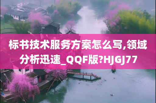 标书技术服务方案怎么写,领域分析迅速_QQF版?HJGJ77