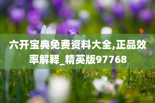 六开宝典免费资料大全,正品效率解释_精英版97768
