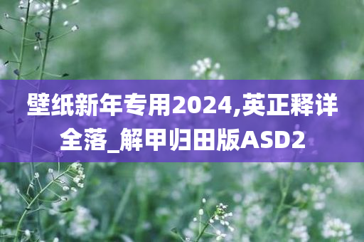 壁纸新年专用2024,英今晚必出三肖2025_2025新澳门精准免费提供·精确判断正释详全落_解甲归田版ASD2