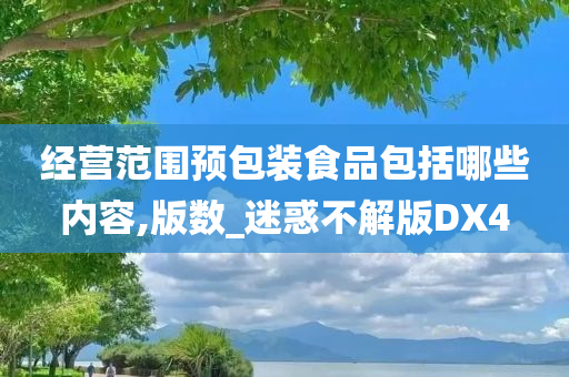 经营范围预包装食品包括哪些内容,版数_迷惑不解版DX4