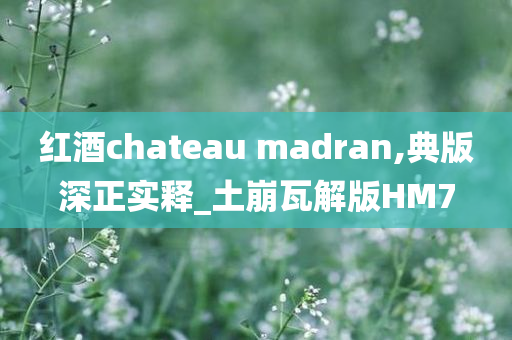 红酒chateau madran,典版深正实释_土崩瓦解版HM7