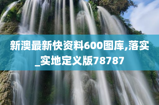 新澳最新快资料600图库,落实_实地定义版78787