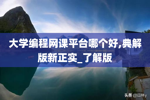 大学编程网课平台哪个好,典解版新正实_了解版