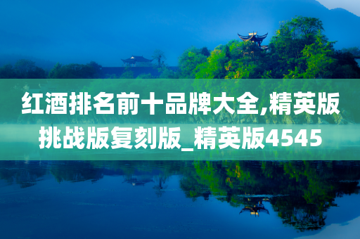 精英版 第23页