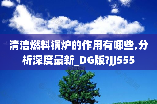 清洁燃料锅炉的作用有哪些,分析深度最新_DG版?JJ555