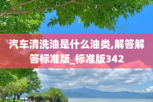 汽车清洗油