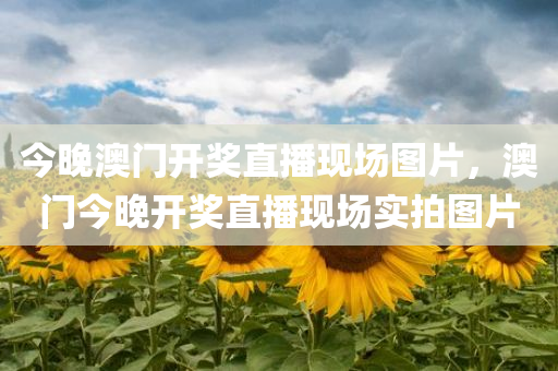 今晚澳门开奖直播现场图片，澳门今晚开奖直播现场实拍图片