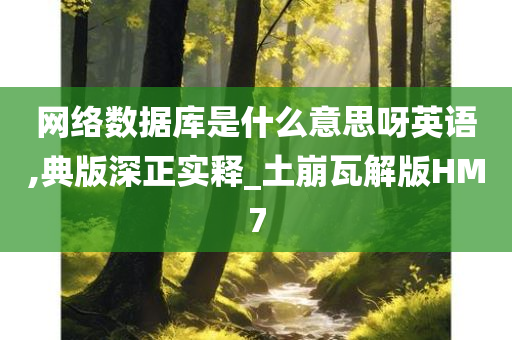 网络数据库是什么意思呀英语,典版深正实释_土崩瓦解版HM7