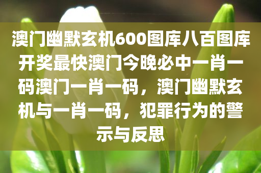澳门幽默玄机600图库八百图库开奖最快澳门今晚必中一肖一码澳门一肖一码，澳门幽默玄机与一肖一码，犯罪行为的警示与反思