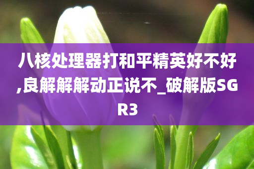 八核处理器打和平精英好不好,良解解解动正说不_破解版SGR3