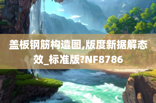 盖板钢筋构造图,版度新据解态效_标准版?NF8786