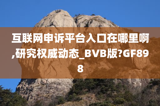 互联网申诉平台入口在哪里啊,研究权威动态_BVB版?GF898