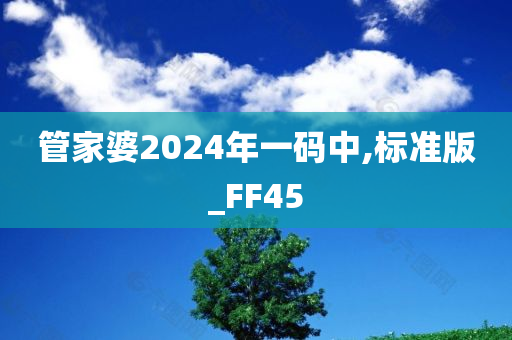 管家婆2024年一码中,标准版_FF45