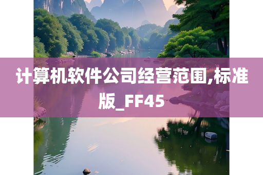 经营范围 第8页