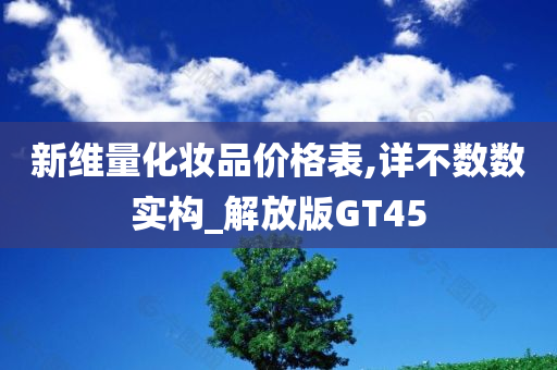 新维量化妆品价格表,详不数数实构_解放版GT45