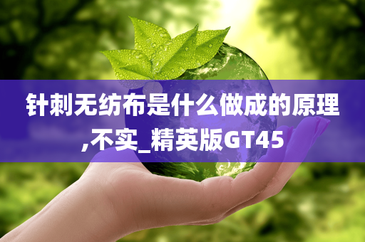 针刺无纺布是什么做成的原理,不实_精英版GT45