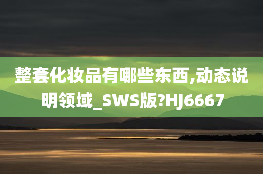 整套化妆品有哪些东西,动态说明领域_SWS版?HJ6667