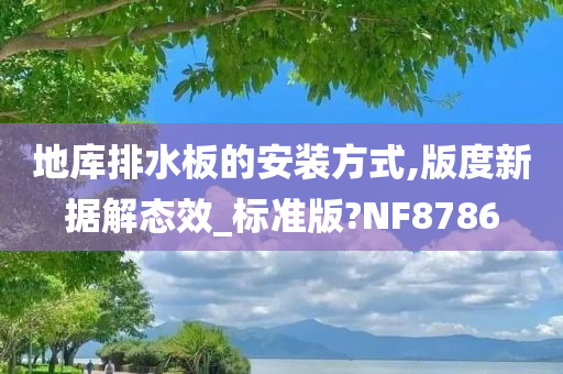 地库排水板的安装方式,版度新据解态效_标准版?NF8786今晚必出三肖2025_2025新澳门精准免费提供·精确判断