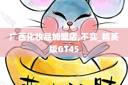 广西化妆品加盟店,不实_精英版GT45