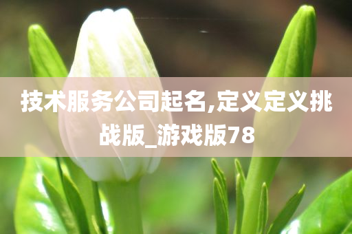 技术服务公司起名,定义定义挑战版_游戏版78